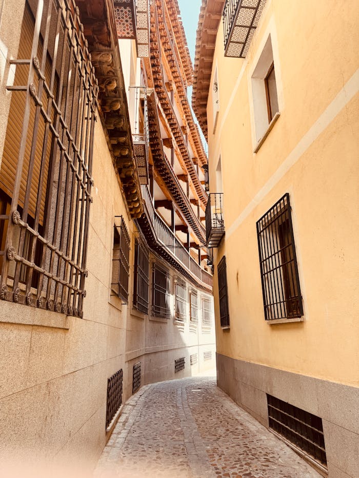 Charming narrow alleyway with traditional architecture and cobblestone path.